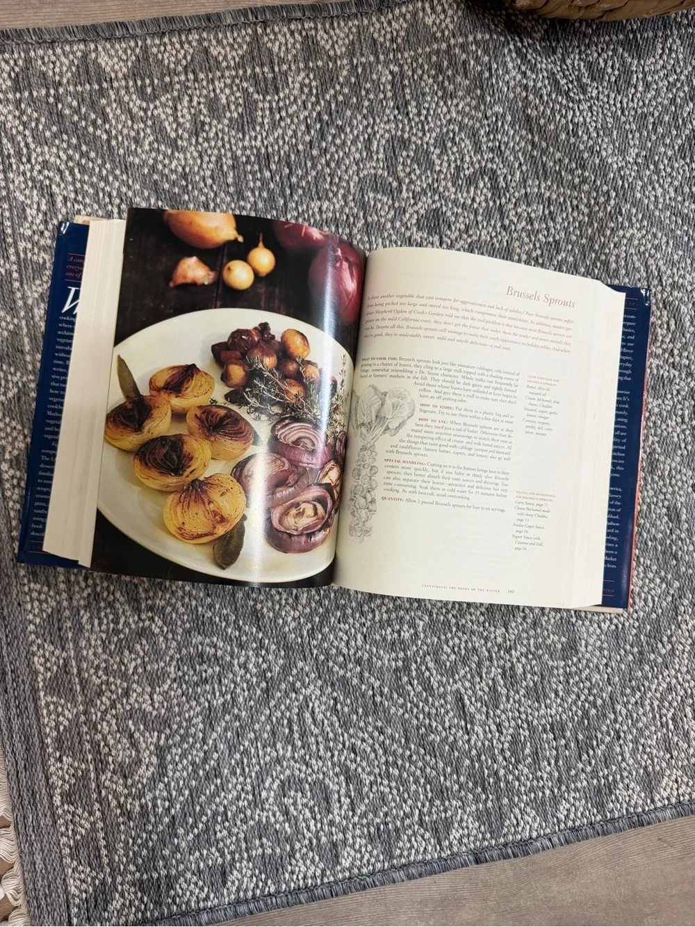 Vintage 90s Vegetarian Cookbook -Vegetarian Cooking for Everyone by